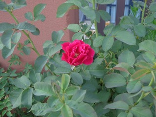 7B5F40F6-F303-4272-BB2A-05637FC72062/L0/001
