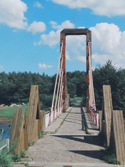 43081