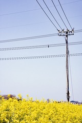 1548572