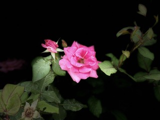 24F17864-66EC-4415-BD68-66BA8990D61A/L0/001