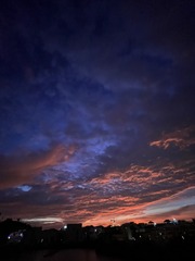 2840F116-9743-40E5-A765-DB7CF4131916/L0/001