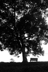 SDIM0722.jpg