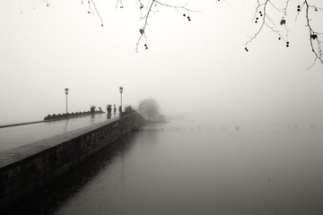 SDIM0729-1.jpg