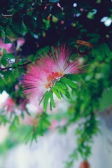 60DB55D4-C29D-420D-A4EE-3AFB201F71A7/L0/001