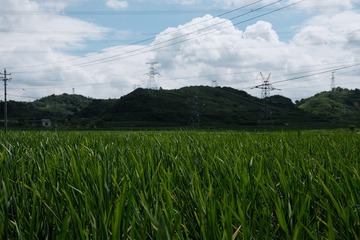 9F9F0CF3-833D-4FAE-AEE7-70670D113572/L0/001