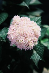 484D1D23-3FC7-468C-B499-91A3FF4154D3/L0/001