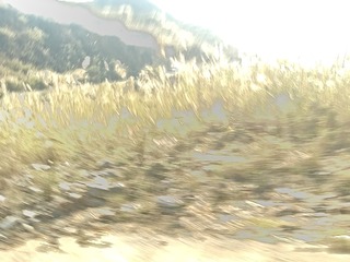 1000002889