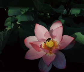 72AAA0DD-18EA-430A-BDDF-0951DF2DD18B/L0/001
