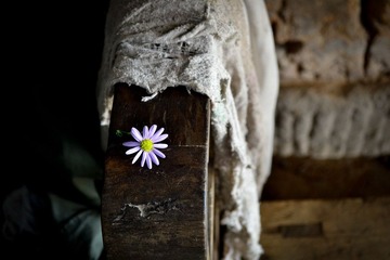 _DSC0772.jpg