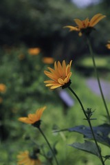 7B9EFB82-9088-427A-9434-691C5A5D2FD1/L0/001