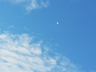 627748