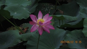 B4E285F4-7DB6-49BF-895D-0189138387E5/L0/001