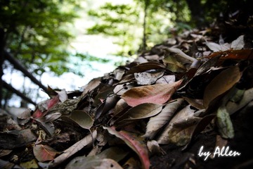 DSC_0208.jpg