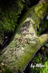 DSC_0211.jpg
