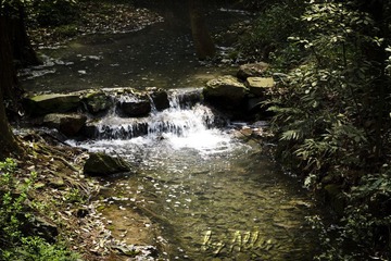DSC_0217.jpg