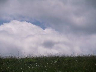 252445F0-11A7-4423-BA18-220F184BC2DA/L0/001