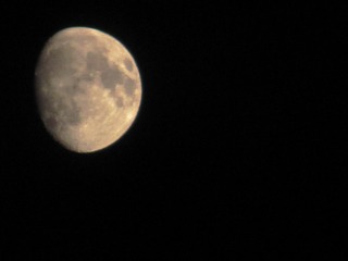 6909DF2C-03BB-4D63-A3E9-45E309F438BD/L0/001