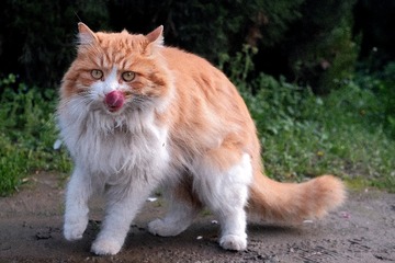 10129