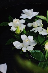 A9623808-7F0B-45C2-9BEA-4CB5EB77F657/L0/001