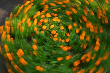 1000028969