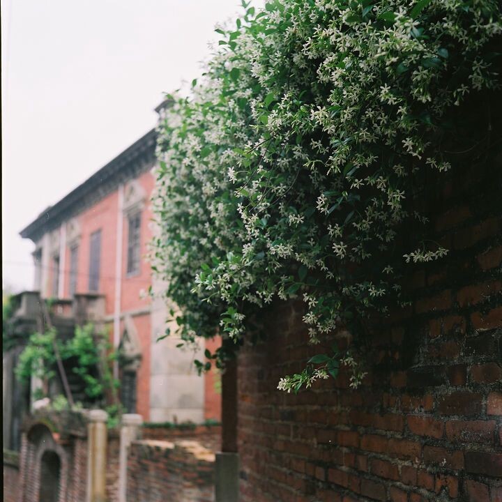 111/365<br />
鼓浪屿, Minolta Autocord + Fuji Pro 160NS, 2011/4&lt;br /&gt;<br />
&lt;br /&gt;<br />
