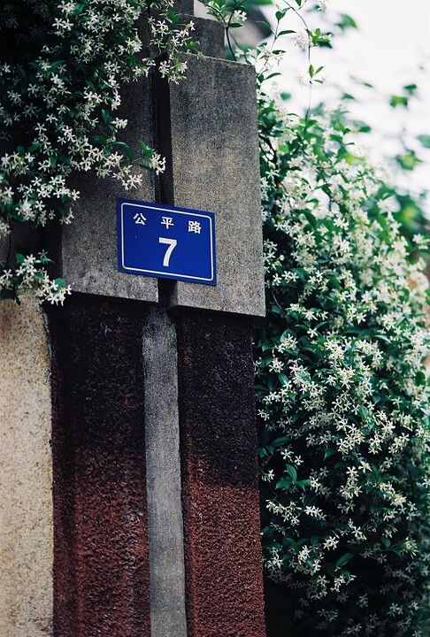 115/365<br />
鼓浪屿, Minolta α807 + Carl Zeiss Sonnar 135/1.8 ZA + PERUTZ primera 200, 2011/4