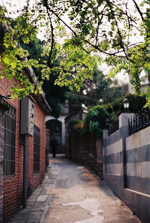 116/365<br />
鼓浪屿, Minolta α807 + 50/1.4 + PERUTZ primera 200, 2011/4