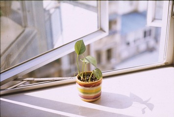 20130217.jpg