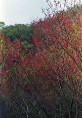 20130227.jpg
