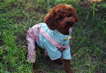 20130302.jpg