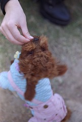 20130303.jpg