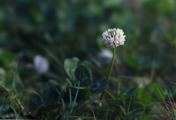 20130304.jpg