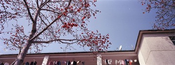20130306.jpg