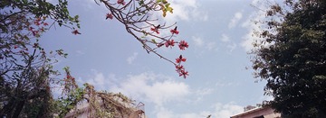 20130307.jpg