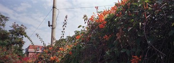 20130318.jpg