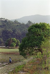 20130319.jpg