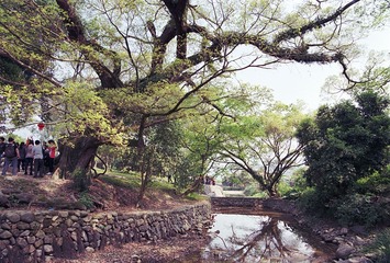 20130326.jpg