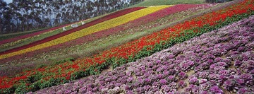 20130328.jpg