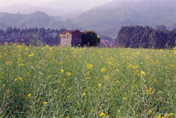 20130331.jpg