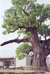 20130404.jpg