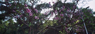 20130407.jpg