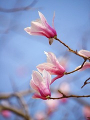 128040