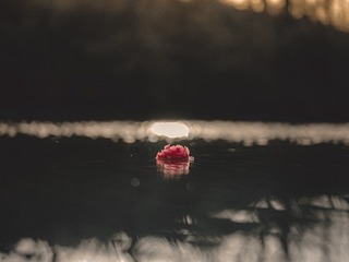 1058013