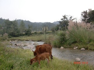 CIMG0388.JPG