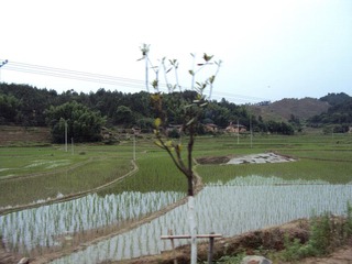 DSC00358.JPG