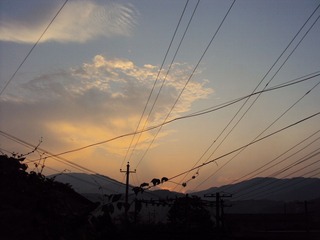DSC02043.JPG