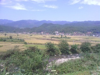IMG_20111007_112603.jpg