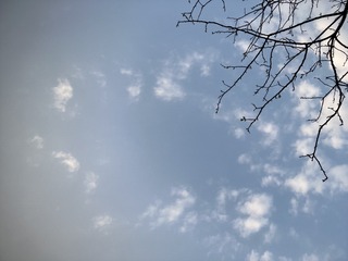 C3C38AEA-C54C-404F-8069-2BD9F905F1F4/L0/001