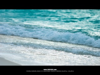SL_MD_0828_0295_1280
