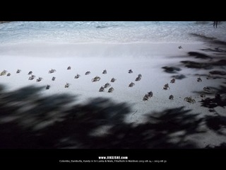 SL_MD_0828_0755_1280